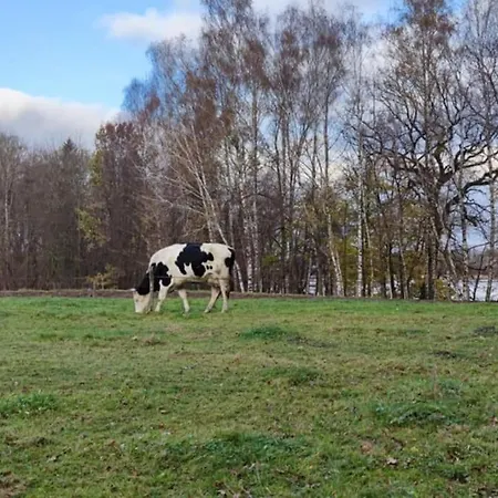 Enklawa - Nowoczesny Dom Nad Jeziorem, 6 Sypialni, Jacuzzi Winiec